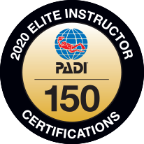 21775014_2020_1_download